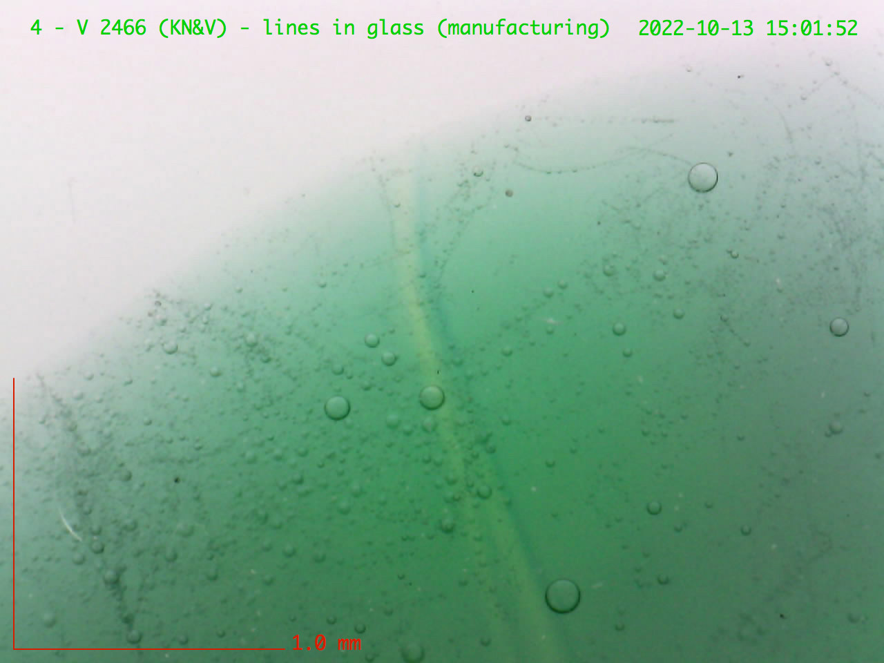 Microscopische opnames    M. Slager, 2022